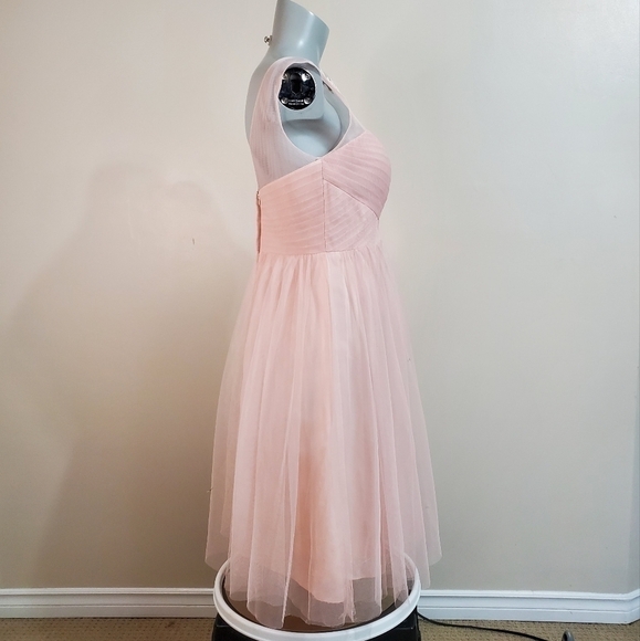 Jenny Yoo Blush Wedding Dress - Picture 6 of 15